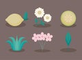 Flowers and lemons icons