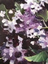 flowers lilac abstract background texture painting tree