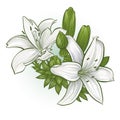 Flowers lilies