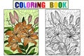 Flowers lilium. Seth coloring book and color drawing. Antistress for children and adults.