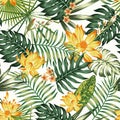 Orange flowers green leaves seamless pattern white background Royalty Free Stock Photo