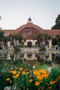 Flowers, the Lily Pond, and Botanical Building in Balboa Park, San Diego, California Royalty Free Stock Photo