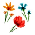 Flowers line icon set. Tulip, poppy, bell, clove, calla, lily. Nature concept. Can be used for topics such as flowering, spring,