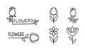 Flowers linear logo set, floral design elements can be used for branding identity, flower shop, florist salon vector