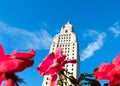 Flowers at the Louisiana State Capitol Building park