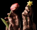 Flowers in male hand Royalty Free Stock Photo