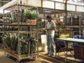 Flowers Market