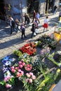 Flowers market, Milano Royalty Free Stock Photo