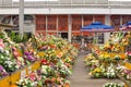 Flowers Market in the Osijek Market, called Trznica, with various plants and flowers for sale.