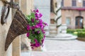 Flowers at Marketplace in Pienza, Tuscany Royalty Free Stock Photo