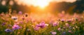 Flowers in the meadow. Magic meadow. Meadow flowers at morning sunrise. Selective focus. AI generated