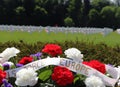 Flowers for Memorial Day at a WWII Cemetery Royalty Free Stock Photo