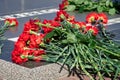 Flowers on the memorial to fallen soldiers, red carnations on black marble, Russian text - monument to the unknown soldier