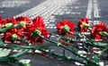 Flowers on the memorial to fallen soldiers, red carnations on black marble, Russian text of soldiers military rank - sergeant,