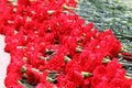 Flowers at memorial to tomb of Unknown Soldier Royalty Free Stock Photo