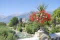 Flowers in Meran Royalty Free Stock Photo