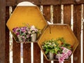 Flowers in metal pots Royalty Free Stock Photo