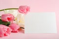 Flowers mock up congratulation. Congratulations card in bouquet of pink tulips on pink background. White blank card with space for Royalty Free Stock Photo