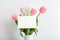 Flowers mock up congratulation. Congratulations card in bouquet of pink tulips on white background. White blank card with space Royalty Free Stock Photo