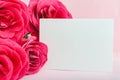 Flowers mockup congratulation. Wedding invitation card in bouquet of pink red roses on pink background. White blank card with Royalty Free Stock Photo