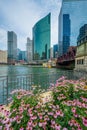 Flowers and modern buildings along the Chicago River, in Chicago, Illinois Royalty Free Stock Photo