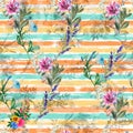 Flowers at monochrome striped background. Royalty Free Stock Photo