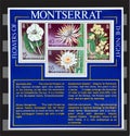 Flowers of Montserrat stamps. Royalty Free Stock Photo