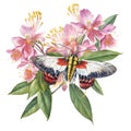 Flowers with Moth Watercolor, Florals Clipart