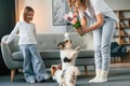 With flowers. Mother with her daughter and with two cute dogs is in domestic room Royalty Free Stock Photo