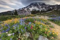 Flowers and mountain