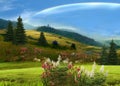 Flowers  and mountain on blue sky rainbow wild field and pine trees beautiful  nature landscape Royalty Free Stock Photo