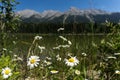 Flowers and mountain in front and behind a lake