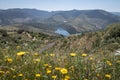 The flowers, the mountain and the river