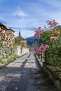 Flowers in mountain village