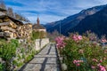 Flowers in mountain village