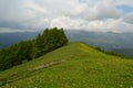 Flowers in the mountains view Royalty Free Stock Photo