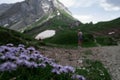 Flowers on the moutainside