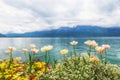 Flowers near lake, Montreux. Switzerland