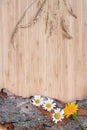 Flowers on old bark, rustic Royalty Free Stock Photo