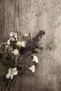 Flowers on old grunge wooden table chamomile lupine dandelions thyme mint bells rape. Wild nature background Royalty Free Stock Photo