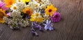 Flowers on old grunge wooden table chamomile lupine dandelions thyme mint bells rape. Wild nature background Royalty Free Stock Photo