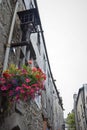 Street flowers and an old style street light. Royalty Free Stock Photo