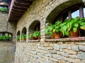 Flowers on the old walls of a medieval city