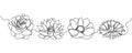 Flowers one line set art. Continuous line drawing of plants, flower, blossom, nature, lotus, rose, anemone, cornflower. Royalty Free Stock Photo