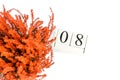 Flowers of orange Calluna vulgaris with cube calendar on white background, isolated, copy space for text. Womens Day Royalty Free Stock Photo