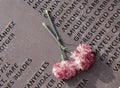 Flowers over the memory wall memorial grave in mallorca