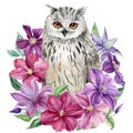 Flowers and owl on an isolated white background. Watercolor illustration, poster with an owl