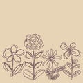 Flowers painted line on a brown Vintage background. Vector dra