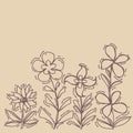 Flowers painted line on a brown Vintage background. Vector dra