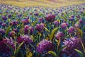 Flowers painting impressionism landscape flower meadow oil Pink purple Flowers wildflower